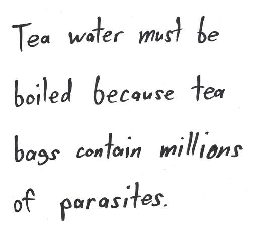 Tea water must be boiled because tea bags contain millions of parasites.