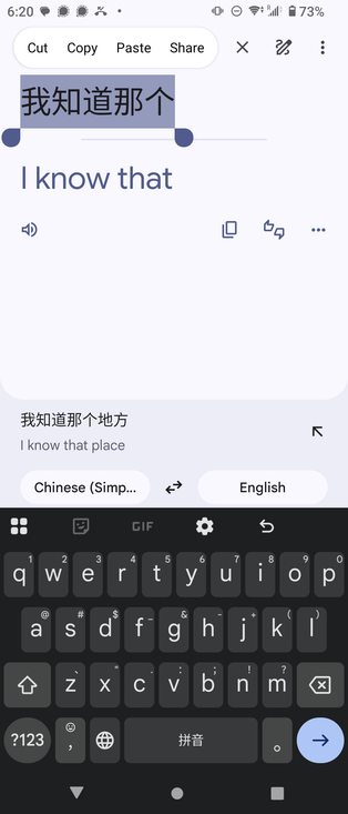 An attempt to translate Chinese "I know that" in Google Translate. Google suggests I instead try to translate "I know this place".