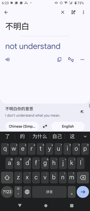 An attempt to translate Chinese "I don't understand". Google suggests instead I try to translate "I don't understand what you mean".