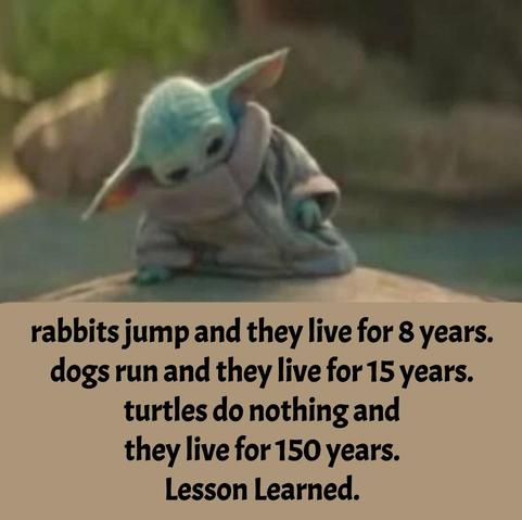 baby yoda looking tired, in the process of laying down on a rock to go to sleep

rabbits jump and they live for 8 years. 
dogs run and they live for 15 years. 
turtles do nothing and they live for 150 years. lesson learned.
